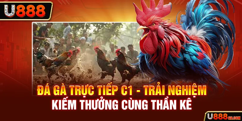 Đá Gà Trực Tiếp C1 - Trải Nghiệm Kiếm Thưởng Cùng Thần Kê Đá Gà Trực Tiếp C1