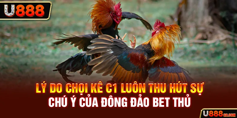 Đá Gà Trực Tiếp C1 - Trải Nghiệm Kiếm Thưởng Cùng Thần Kê Lý do chọi kê C1 luôn thu hút sự chú ý của đông đảo bet thủ