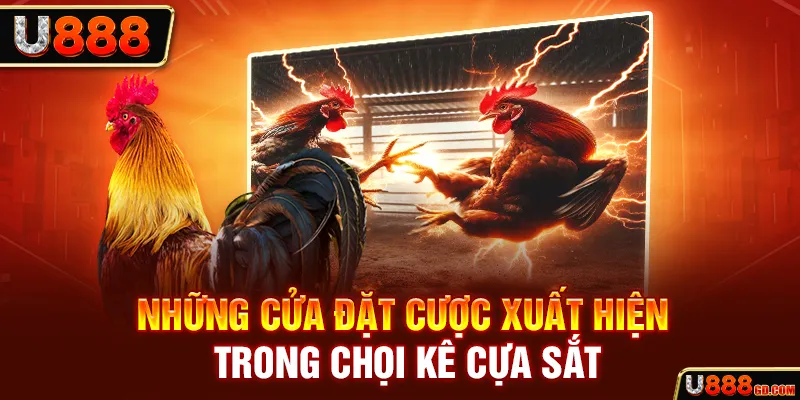 Đá Gà Cựa Sắt U888 - Hình Thức Cá Cược Máu Lửa Không Thể Bỏ Qua Những cửa đặt cược xuất hiện trong chọi kê cựa sắt