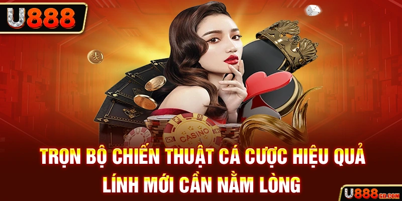 Chiến Thuật Cá Cược Hiệu Quả Giúp Bạn Bỏ Túi Nghìn Tỷ Trọn bộ chiến thuật cá cược hiệu quả lính mới cần nằm lòng
