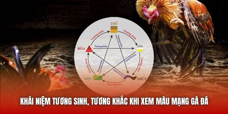 Xem Màu Mạng Gà Đá Theo Ngũ Hành Chuẩn Từ Sư Kê U888 Khái niệm tương sinh, tương khắc khi xem màu mạng gà đá
