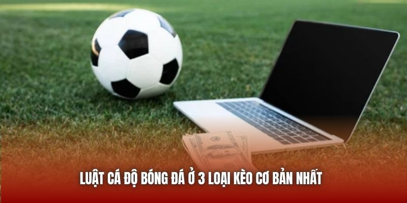 Luật Cá Độ Bóng Đá Newbie Cần Nằm Lòng Trước Khi Đặt Cược U888 Luật cá độ bóng đá ở 3 loại kèo cơ bản nhất