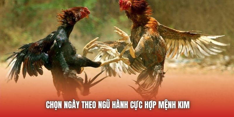 Chọn ngày theo ngũ hành cực hợp mệnh Kim