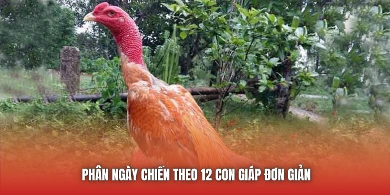 Phân ngày chiến theo 12 con giáp đơn giản